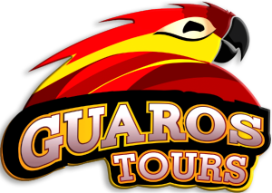 logo guaros group